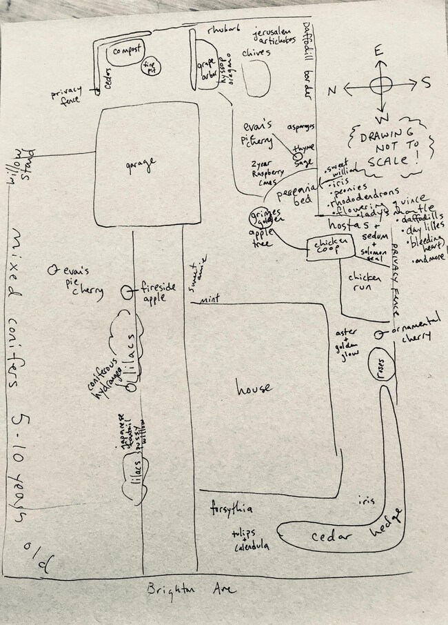 image1 (1)