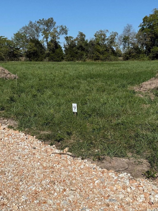 TBD LOT 8 S 621 Place, Grove, OK 74344 - photo 4