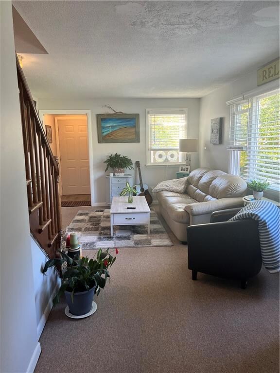 Carpeted Living Room w/ Lots of Natural Light