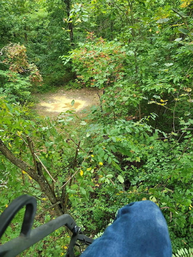 300 Goebel White Rd, Carlisle, KY 40311 - photo 4