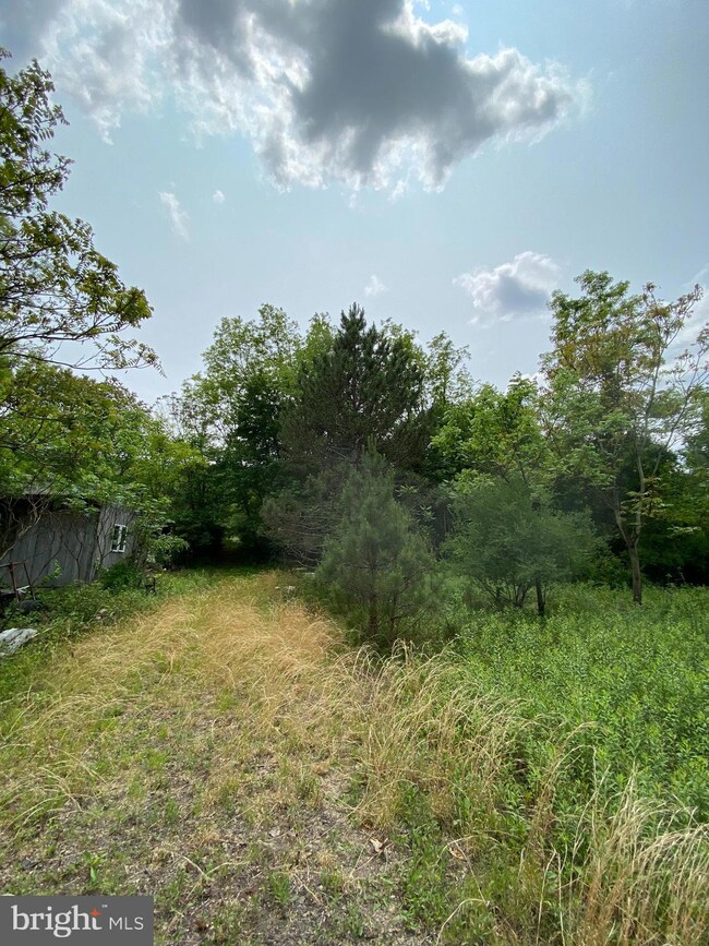 9579 State Route 209, Williamstown, PA 17098 - photo 3