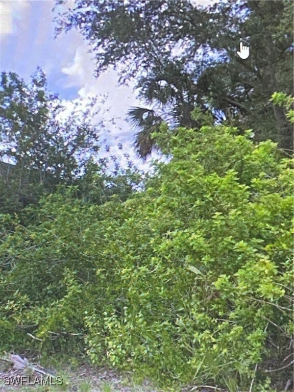 View of undeveloped land