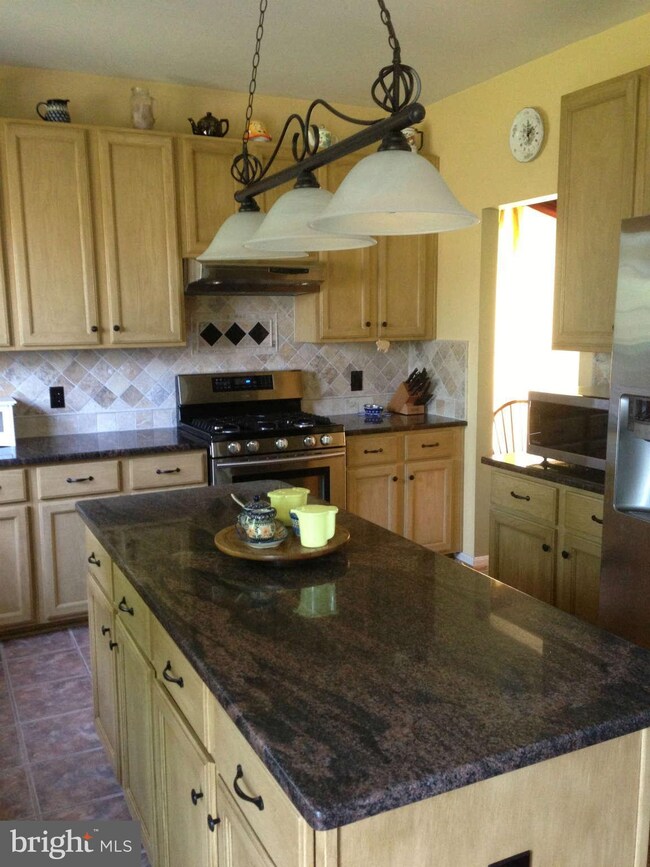 9719 Snare Drum Ct, Bristow, VA 20136 - photo 4