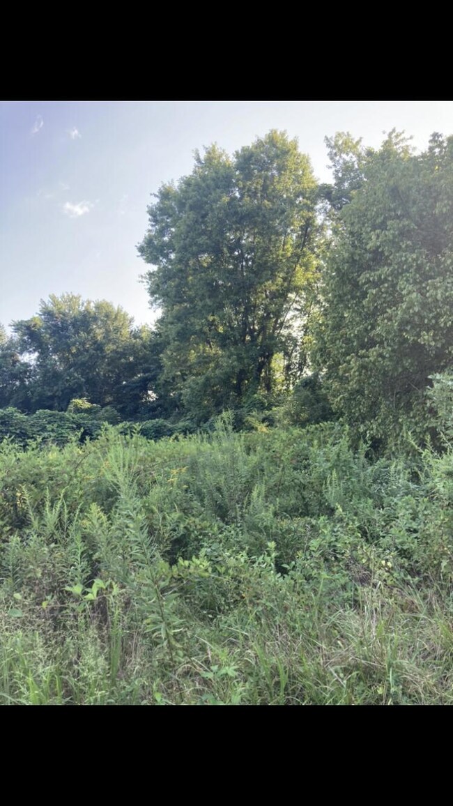 F2A2CAA7-2D1D-42C6-8B6D-64B99CCE8F3F