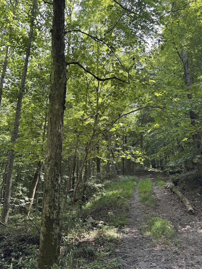 0 Albert Fentress Rd unit RTC2906900, Greenbrier, TN 37172 - photo 3