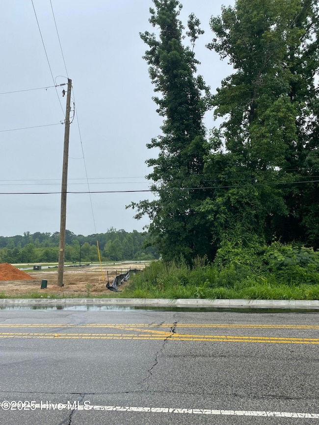 1502 Erwin Rd, Dunn, NC 28334 - photo 4