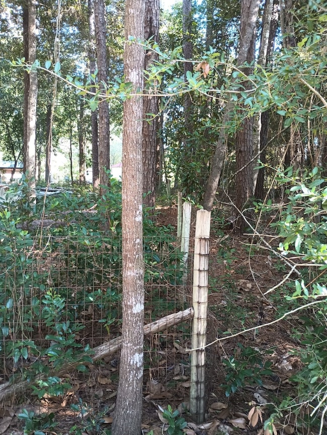 0 Wickford and Little John unit 86445316, Ivanhoe, TX 75447 - photo 2