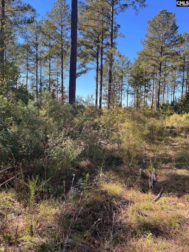 DRF 2 Dawkins Rd unit DRF 2, Pacolet, SC 29372 - photo 5