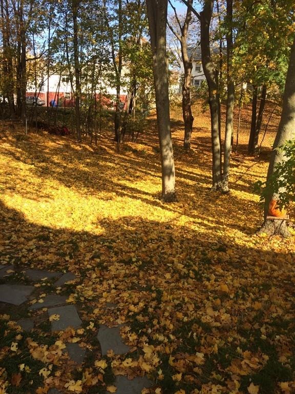 9 Jefferson Rd unit 9, Wakefield, MA 01880 - photo 6