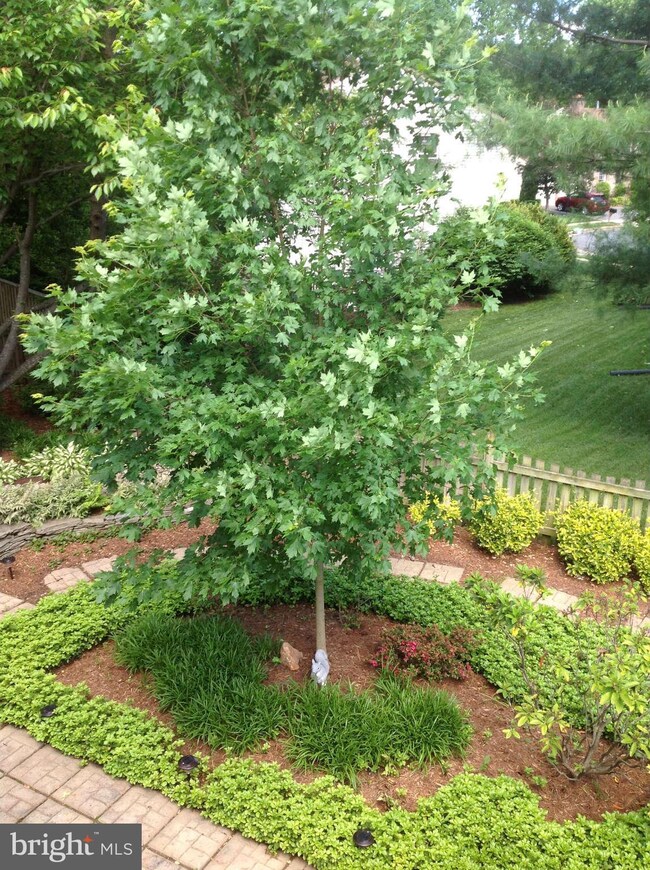 5559 Renoir Port Ln, Burke, VA 22015 - photo 6