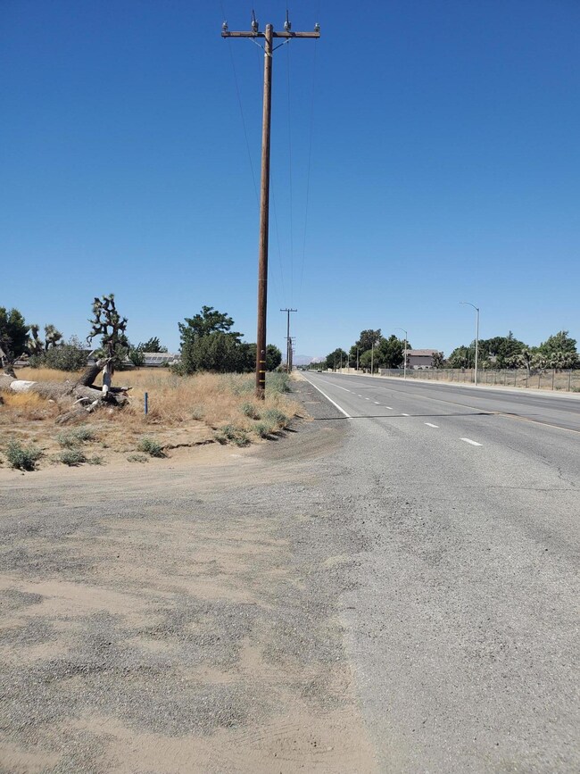 Photo #2 - North