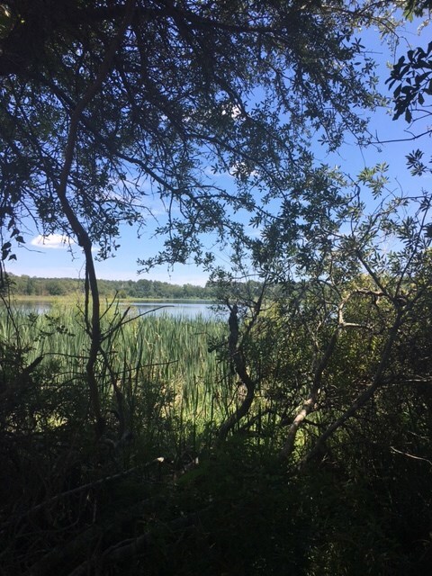 Lots 6/7 E Drive Paradise Cir, Donalsonville, GA 39845 - photo 4