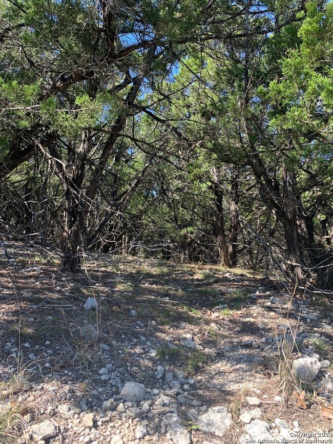 0 Adams Crossing, Cross Mountain, TX 78255 - photo 4