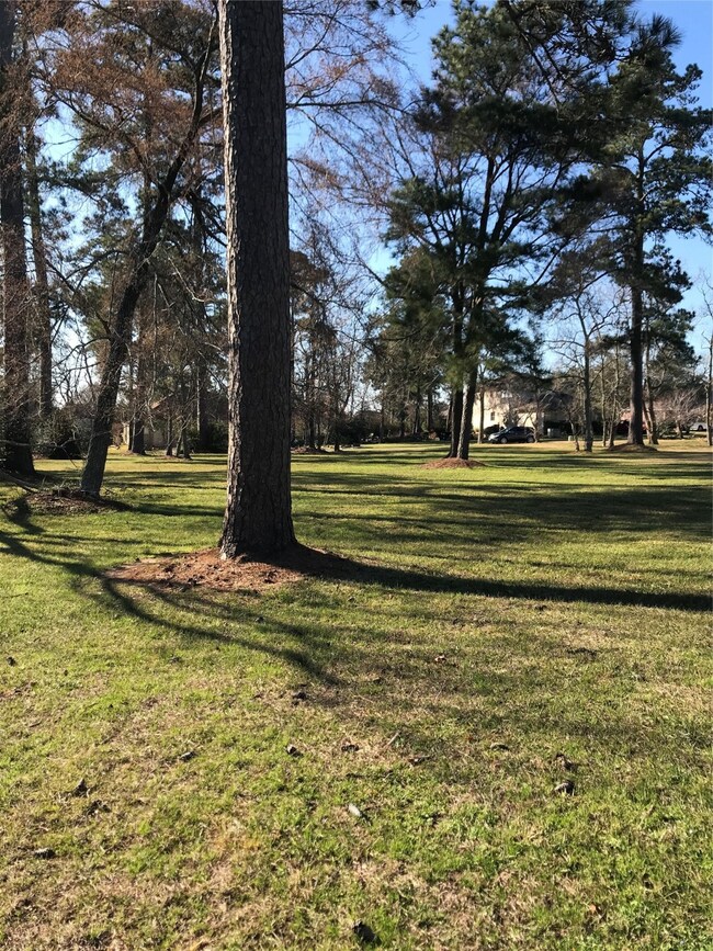 View from back of lot