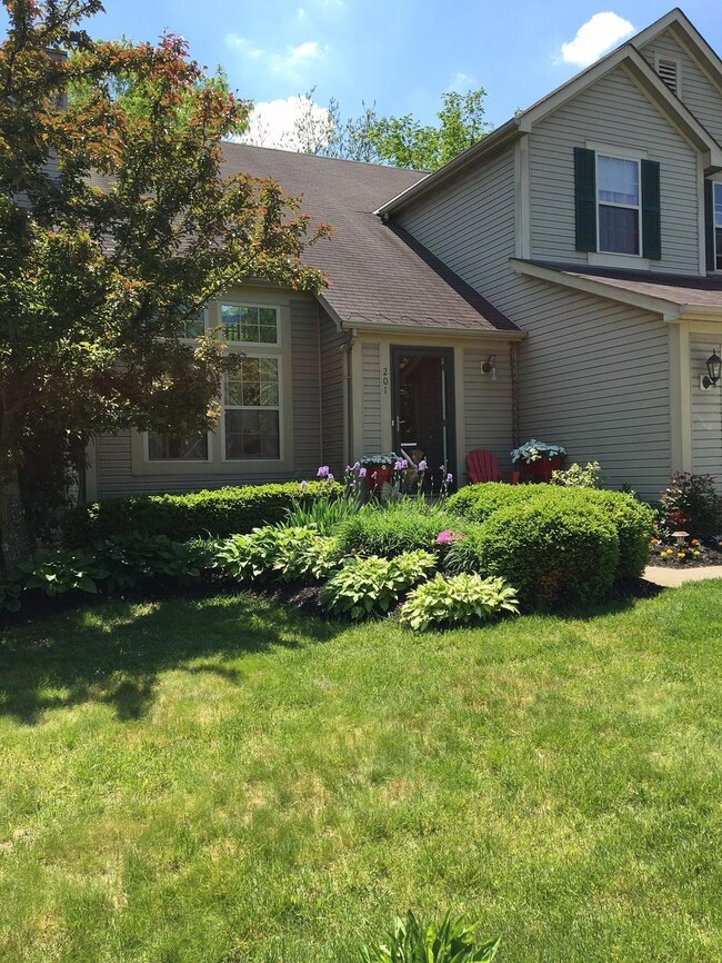 Sunny Landscaping