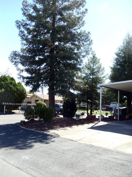 Landscaped corner lot