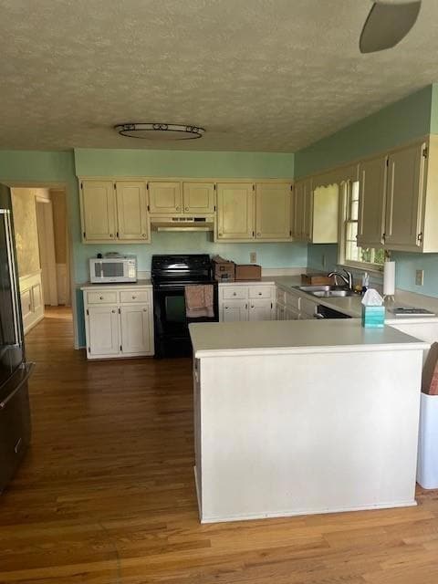 Kitchen with black electric range oven, white microwave, under cabinet range hood, a sink, and light countertops