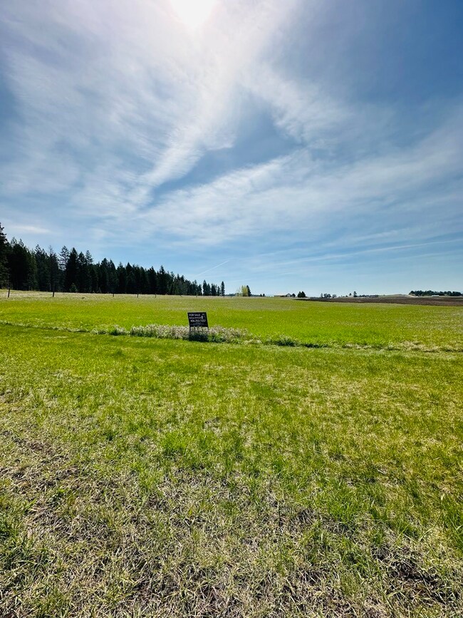 168 Wood Ridge Dr, Columbia Falls, MT 59912 - photo 2