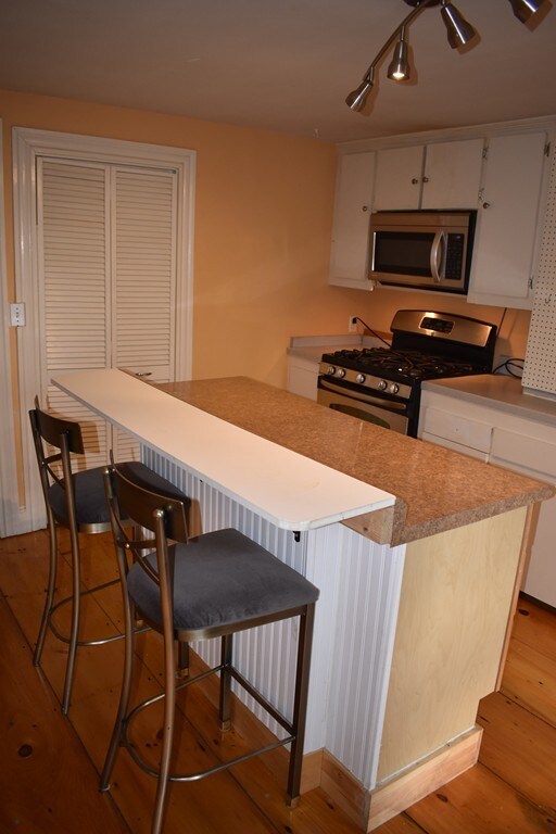 42 Sheridan St unit 1, Jamaica Plain, MA 02130 - photo 4