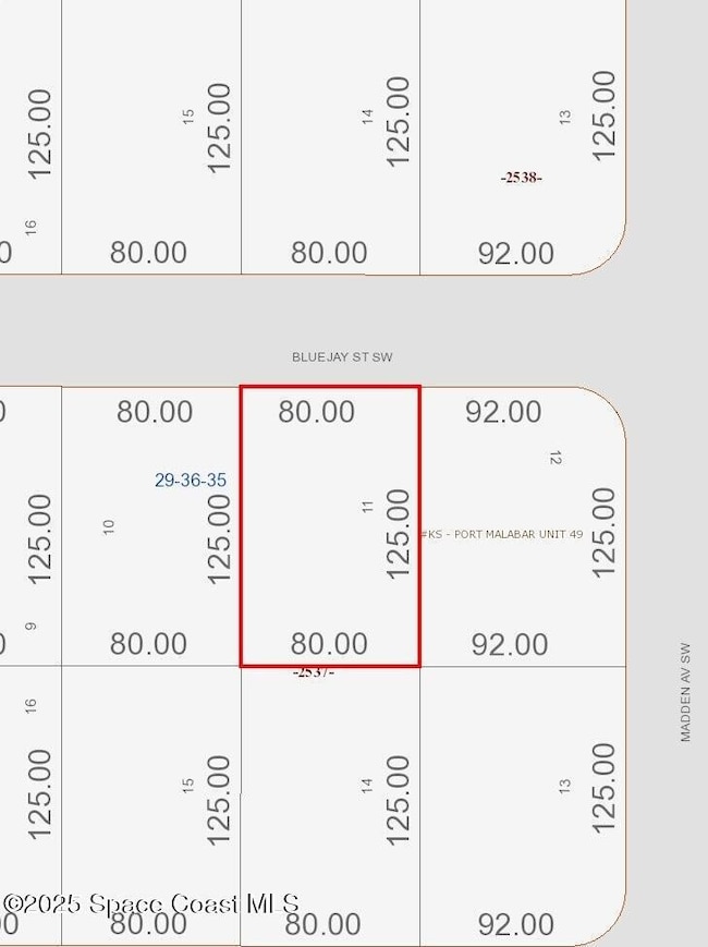 814 Bluejay St, Palm Bay, FL 32908 - photo 2