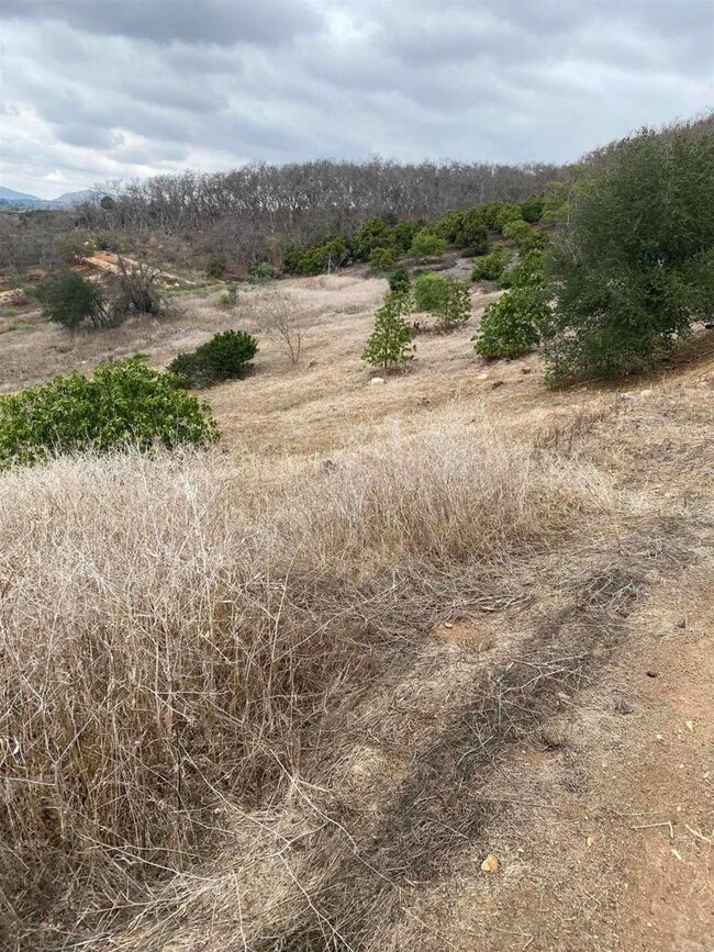 0 Ridge Creek Rd unit NDP2508679, Valley Center, CA 92082 - photo 3