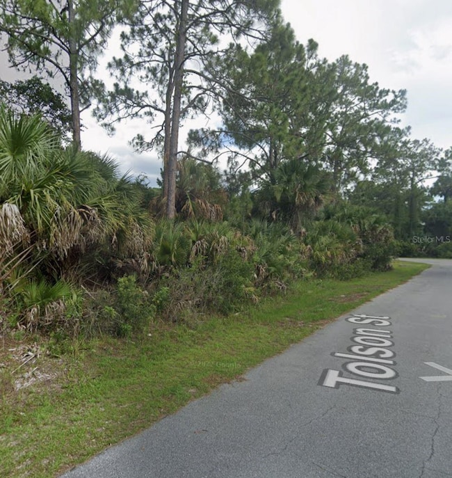 00 Tolson St, North Port, FL 34291 - photo 2