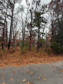 0 Westbury Dr unit 1329049, Bella Vista, AR 72714 - photo 2