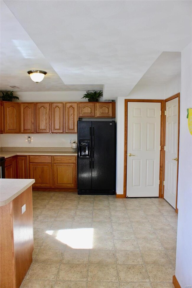 202 Alamosa Dr, Freeburg, IL 62243 - photo 3