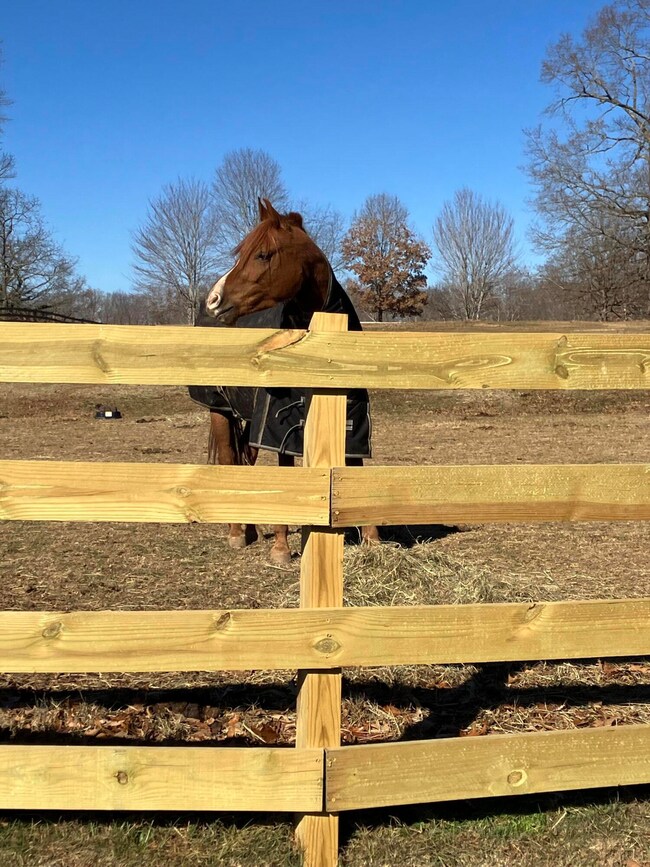 232 Lake Front Cir, Penhook, VA 24137 - photo 6