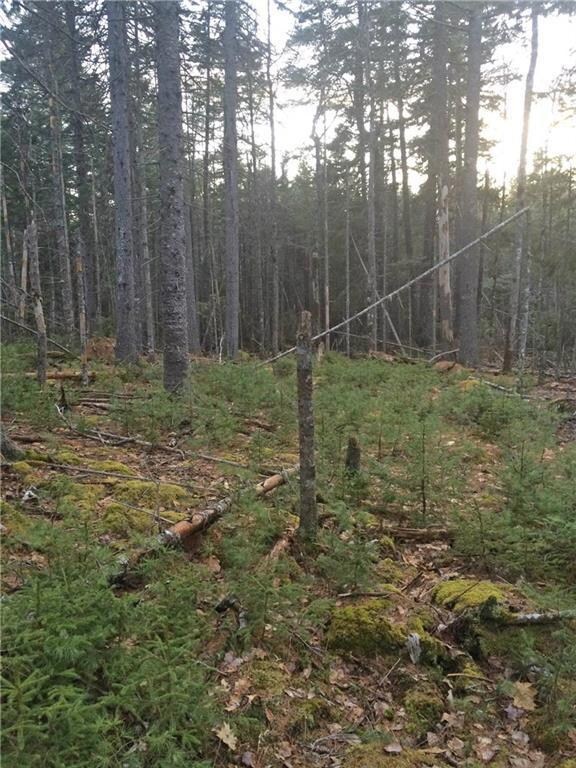 0 Southern Bay Bridges Point Rd unit 1265434, Penobscot, ME 04476 - photo 4