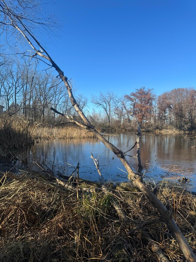 816 30th St NW, Faribault, MN 55021 - photo 6