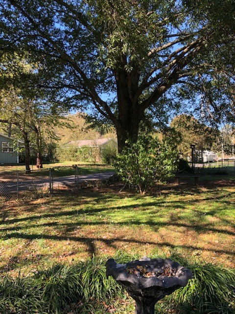 103 S Midway Dr, Tunnel Hill, GA 30755 - photo 7