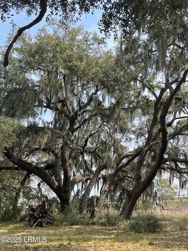 76 Priester Rd, Seabrook, SC 29940 - photo 3