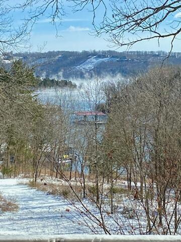 44 Redbud Ridge Ln, Kimberling City, MO 65686 - photo 4