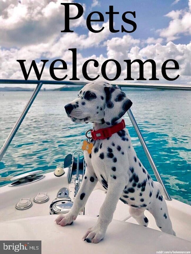 1140 Cove Rd unit 302, Annapolis, MD 21403 - photo 7