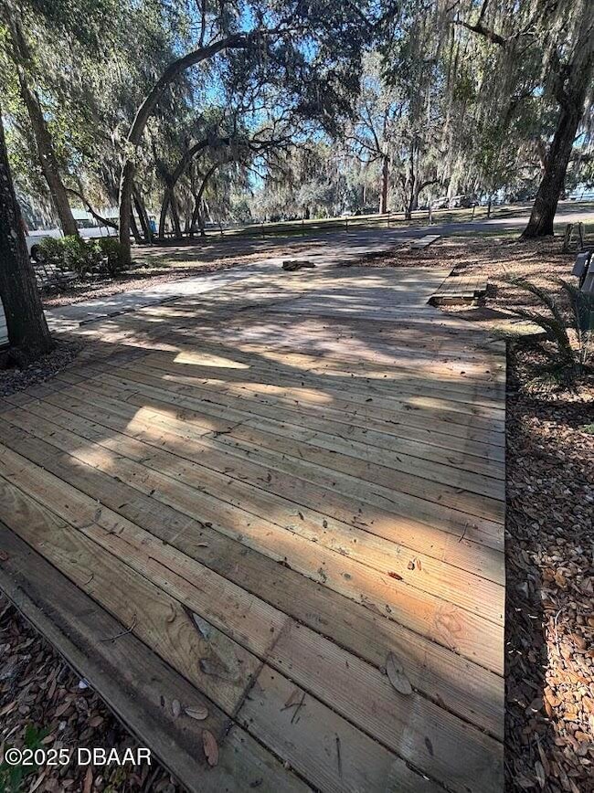 25287 NE 139th (Lot 286) Ln, Salt Springs, FL 32134 - photo 6