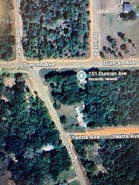 151 Duncan Ave, Interlachen, FL 32148 - photo 2