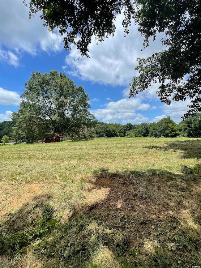 Lots 3 & 4 River View Dr, Glenwood, AR 71943 - photo 6