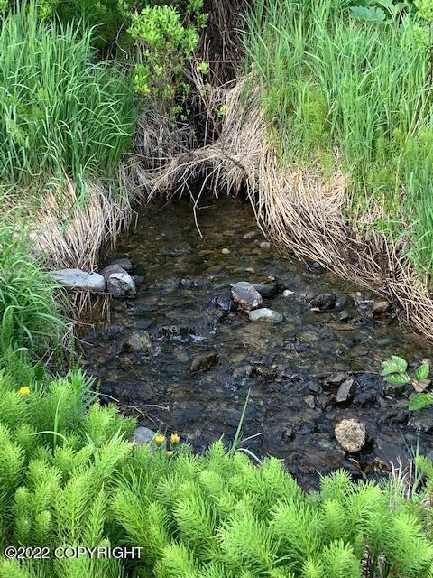 Fresh Water Creek through property