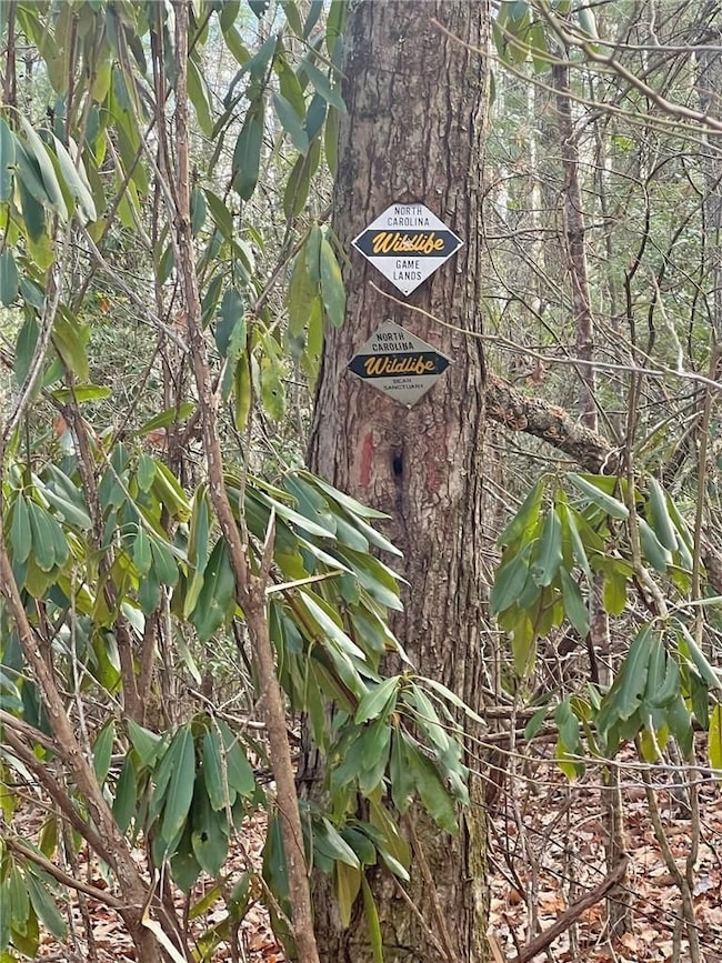 999 Juniper Rd, Clyde, NC 28721 - photo 5