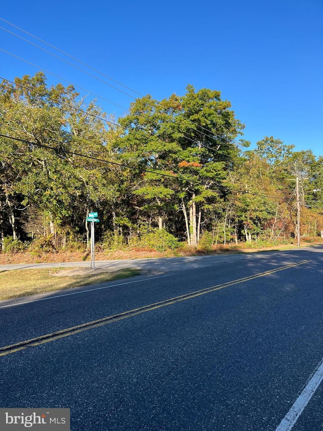 0 Main Ave unit NJAC2014732, Richland, NJ 08360 - photo 4