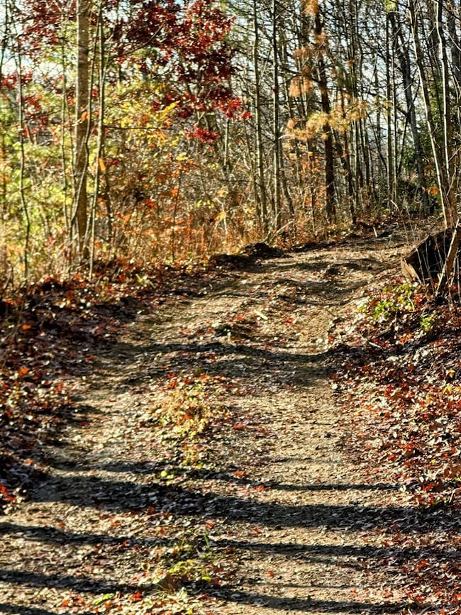 83 Farris Ln, Fayetteville, WV 25840 - photo 4