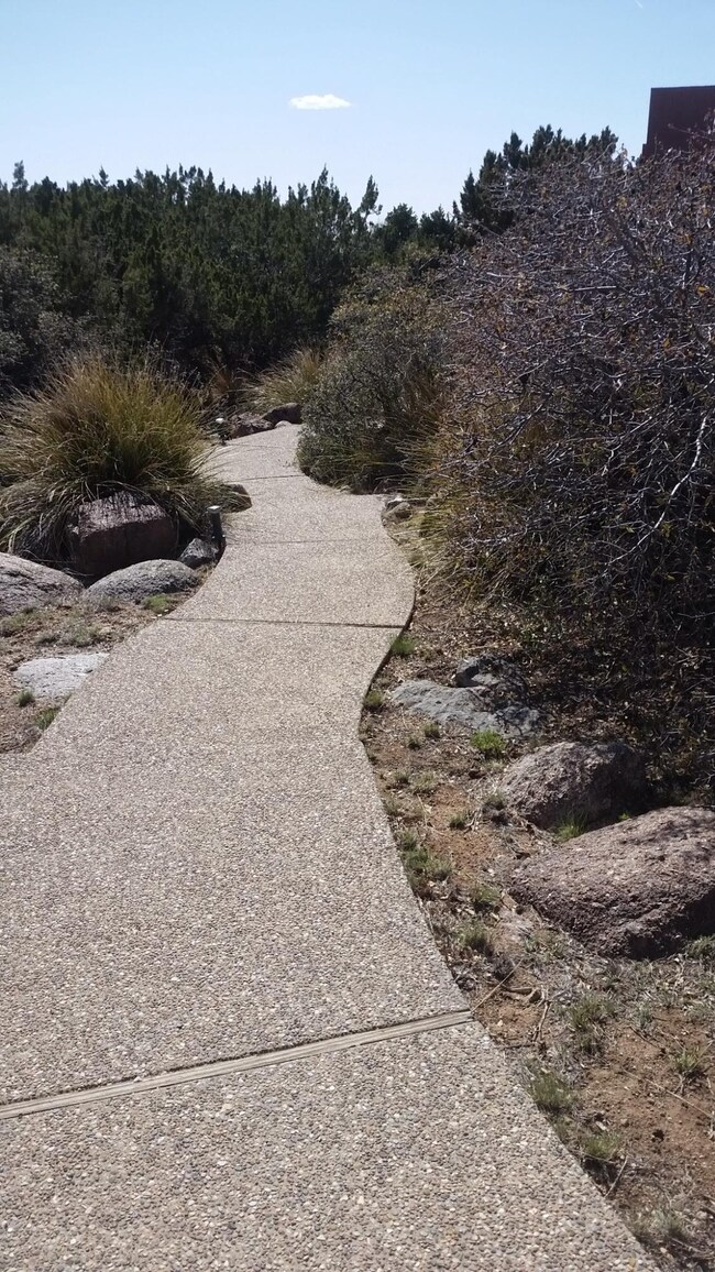 20150408_153642