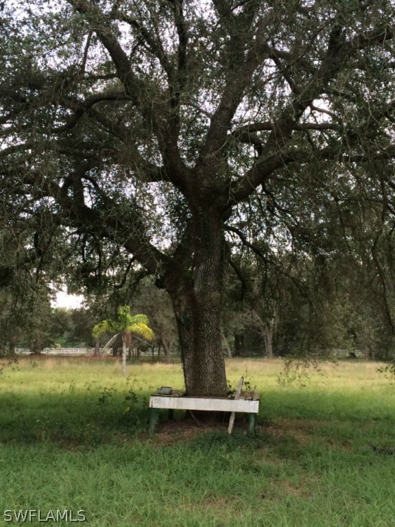 STATELY OAKS