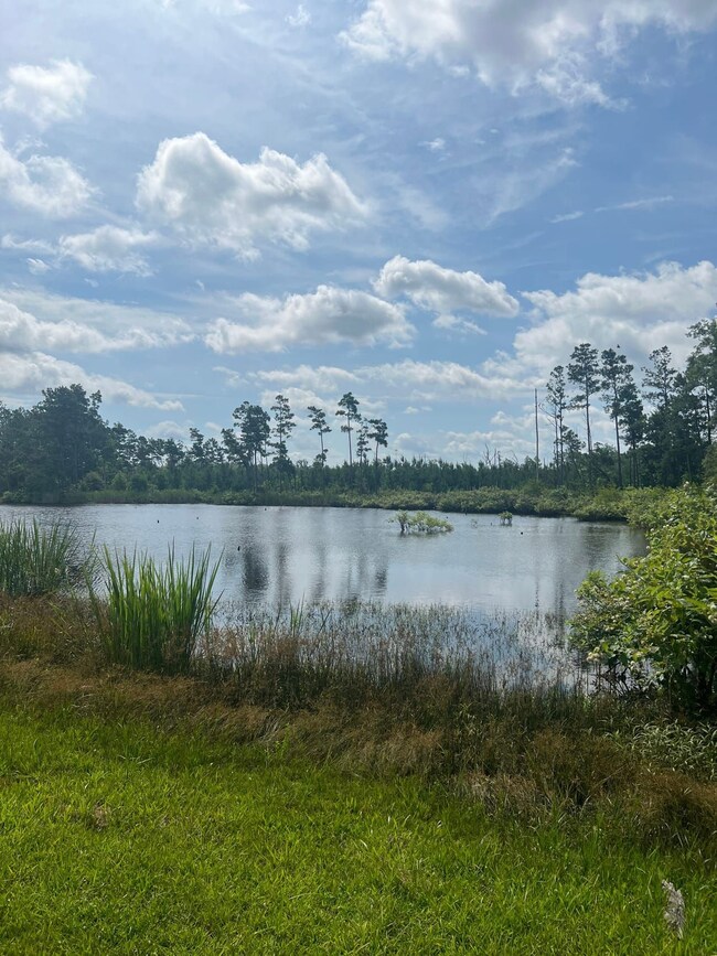 0 Brinkley Rd, Pine Bluff, AR 71603 - photo 5