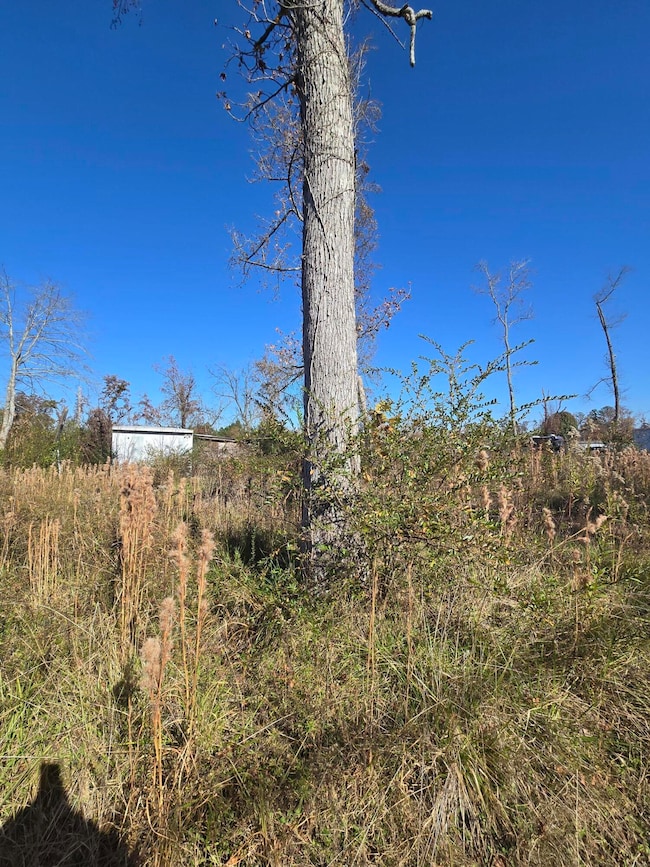 8907 Bill Reed Rd, Ooltewah, TN 37363 - photo 5