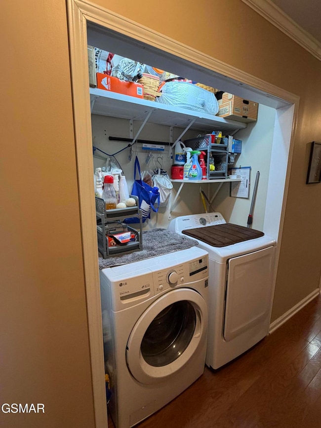 113 Ridgefield Dr, Dandridge, TN 37725 - photo 7