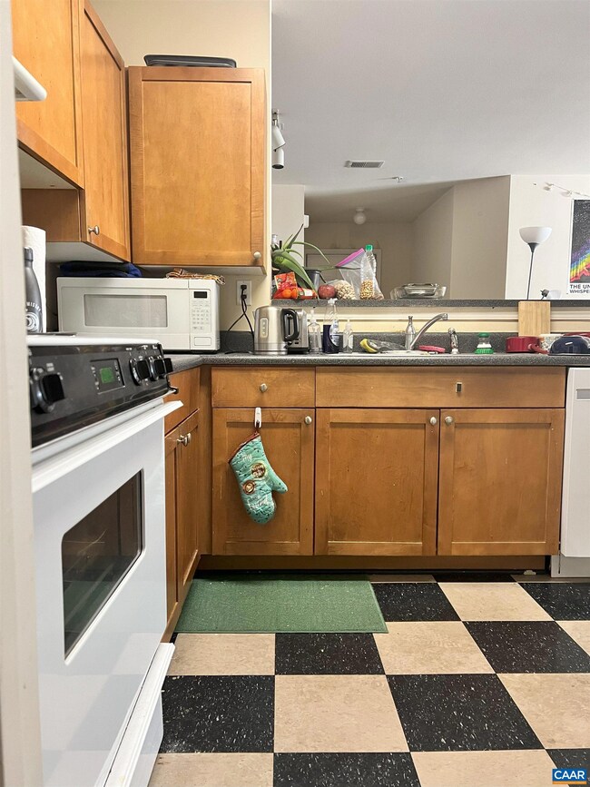 135 Yellowstone Dr unit 101, Charlottesville, VA 22903 - photo 7