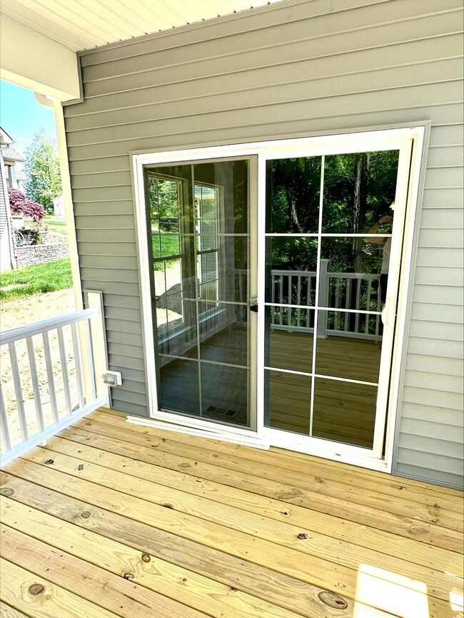 Image (3)