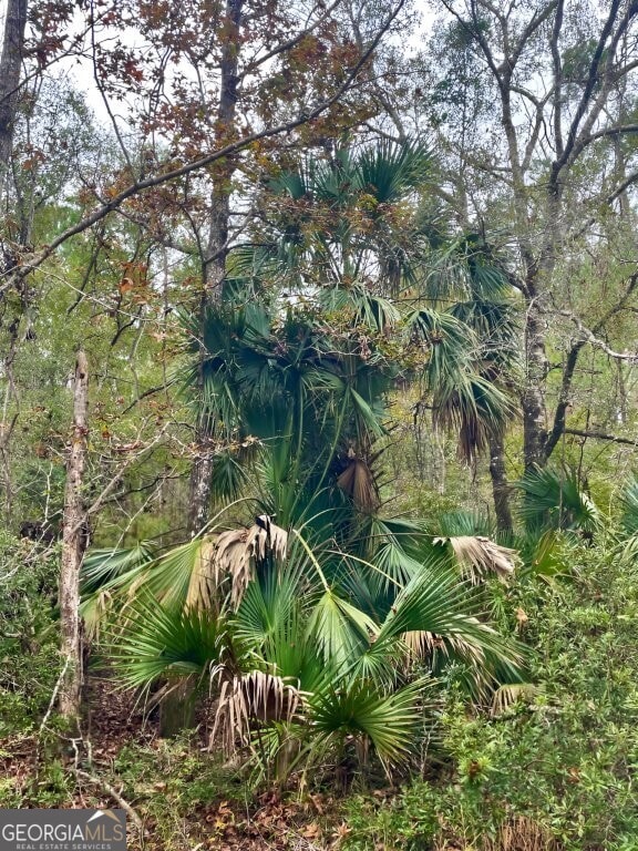 0 US Highway 98 unit 10649270, Perry, FL - photo 7